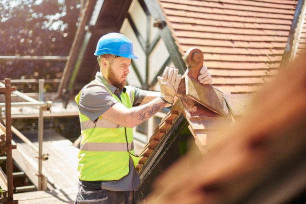 Best Storm Damage Roof Repair  in Mount Vernon, VA
